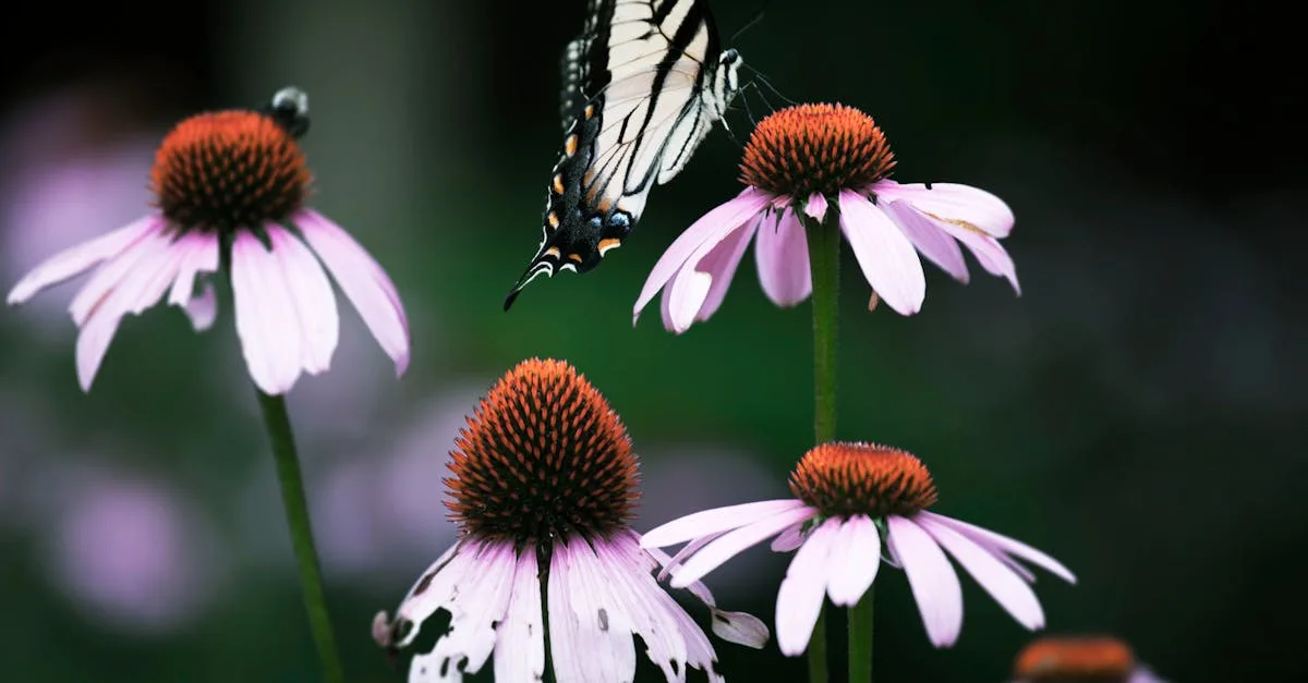 découvrez les 14 besoins fondamentaux de virginia henderson, une approche essentielle en soins infirmiers pour assurer le bien-être complet des patients.