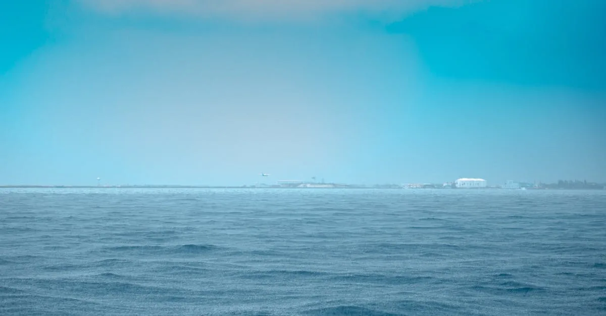 découvrez l'univers de chris robinson, artiste et musicien passionné, reconnu pour son talent et sa créativité unique.