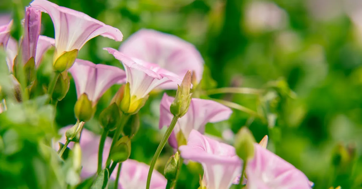 découvrez l'histoire, les usages et les contextes liés au terme « glory hole » dans différents domaines.
