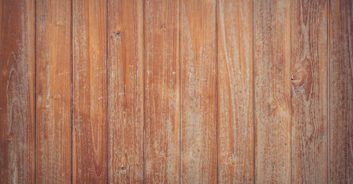 camfuze : découvrez une plateforme innovante pour des vidéos et des expériences interactives de haute qualité.