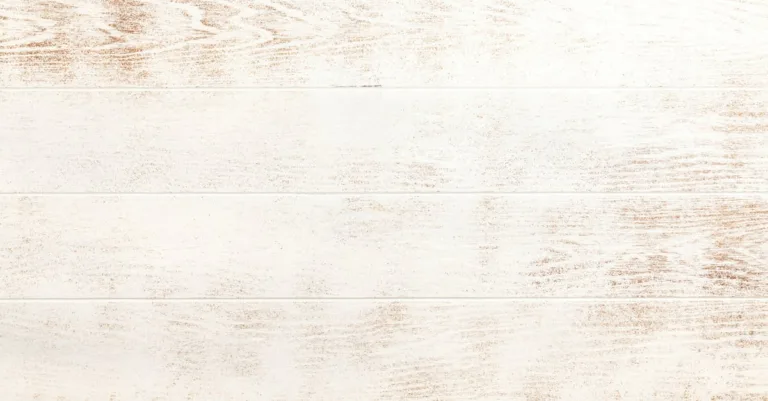 camfuze - plateforme innovante pour le streaming vidéo et la création de contenus interactifs en direct.