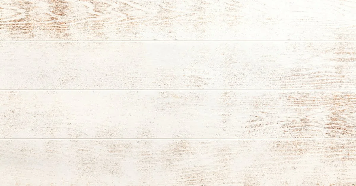 camfuze - plateforme innovante pour le streaming vidéo et la création de contenus interactifs en direct.