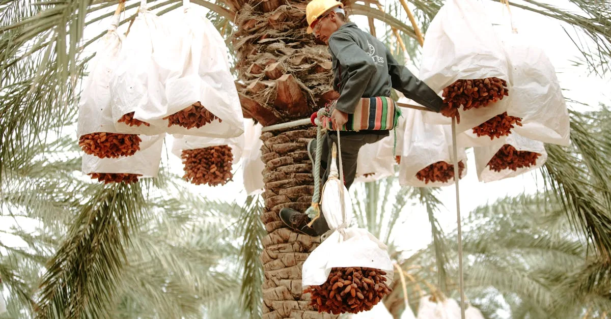 découvrez notre plateforme de rencontres en ligne pour trouver l'amour, nouer des amitiés et partager des moments uniques avec des personnes compatibles.