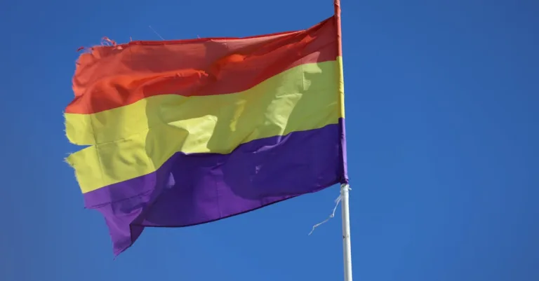 découvrez la signification des couleurs du drapeau pansexuel, un symbole de diversité et d'inclusion sexuelle.
