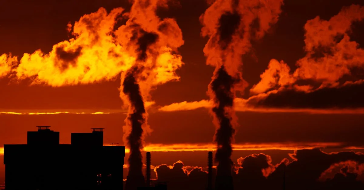 découvrez les effets du réchauffement climatique et les solutions pour préserver notre planète.