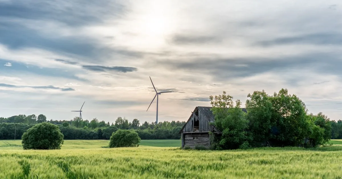 découvrez notre ferme écologique engagée dans des pratiques durables pour préserver l'environnement tout en produisant des aliments sains et naturels.